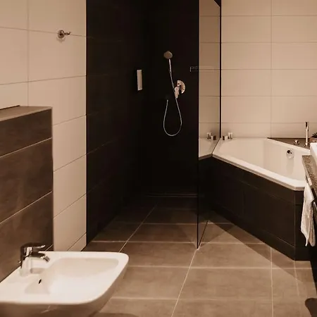 Tulip 4* Ludwigshafen am Rhein