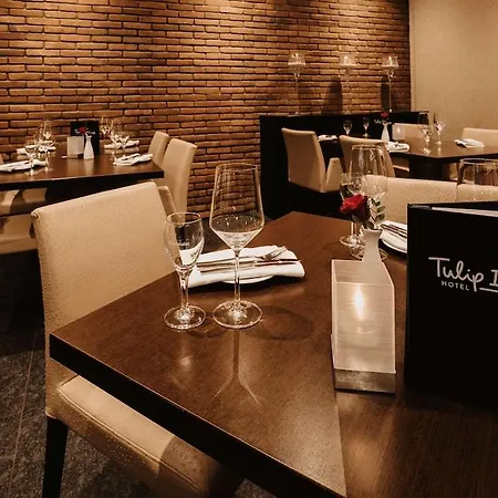 Tulip 4* Ludwigshafen am Rhein