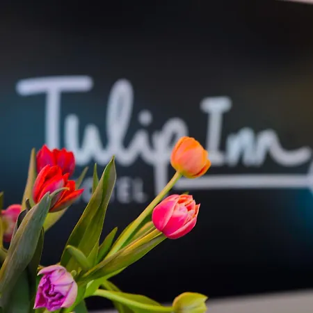 Hotel Tulip 3*